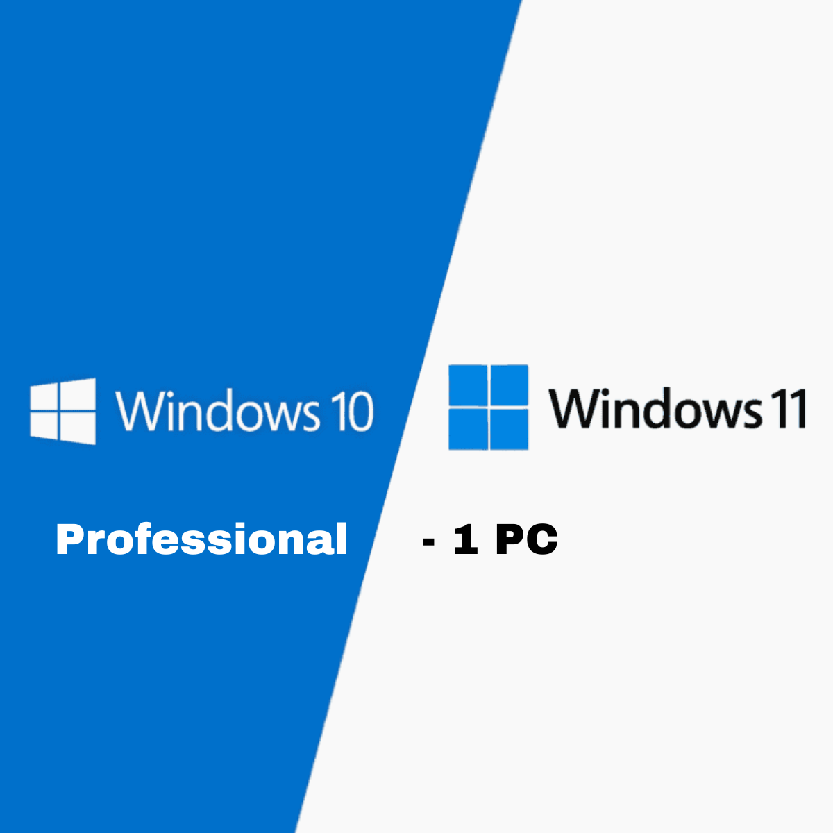 Microsoft Windows 10 / 11 Professional - 1 PC (Lifetime)