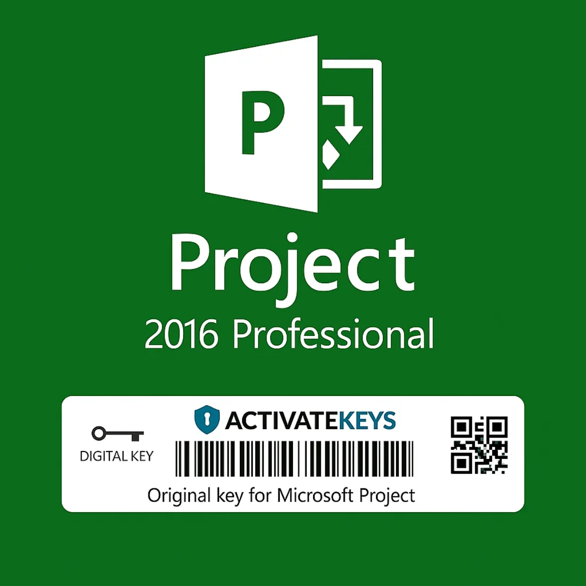 Microsoft Project 2016 Professional 1 PC (Lifetime)