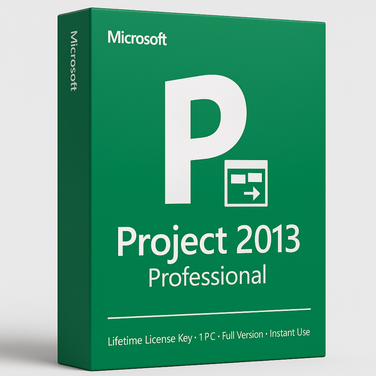 Microsoft Project 2013 Professional 1 PC (Lifetime)