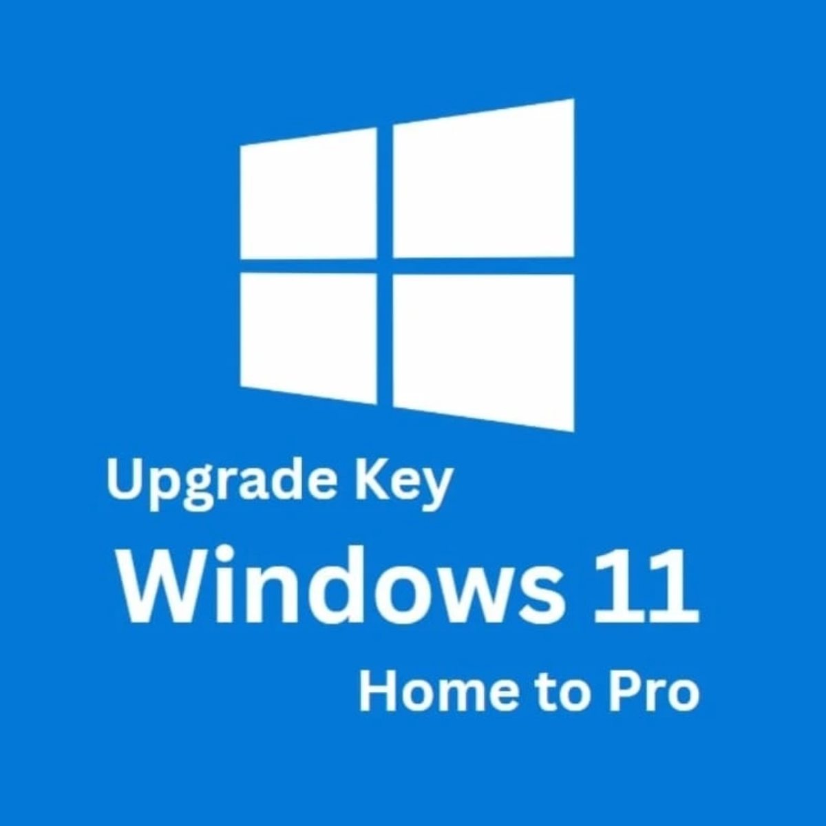 Microsoft Windows 10 / 11 Home Upgrade Pro - 1 PC (Lifetime)
